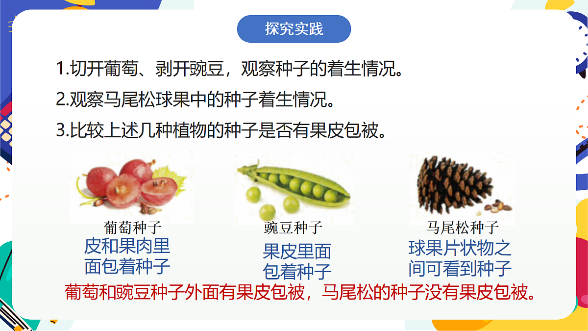 2.2《形形色色的植物》课件 浙教版科学七上第3页
