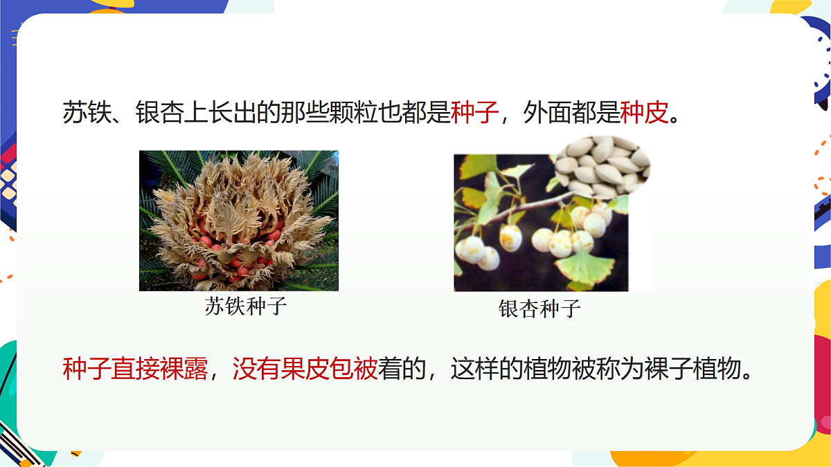 2.2《形形色色的植物》课件 浙教版科学七上第5页
