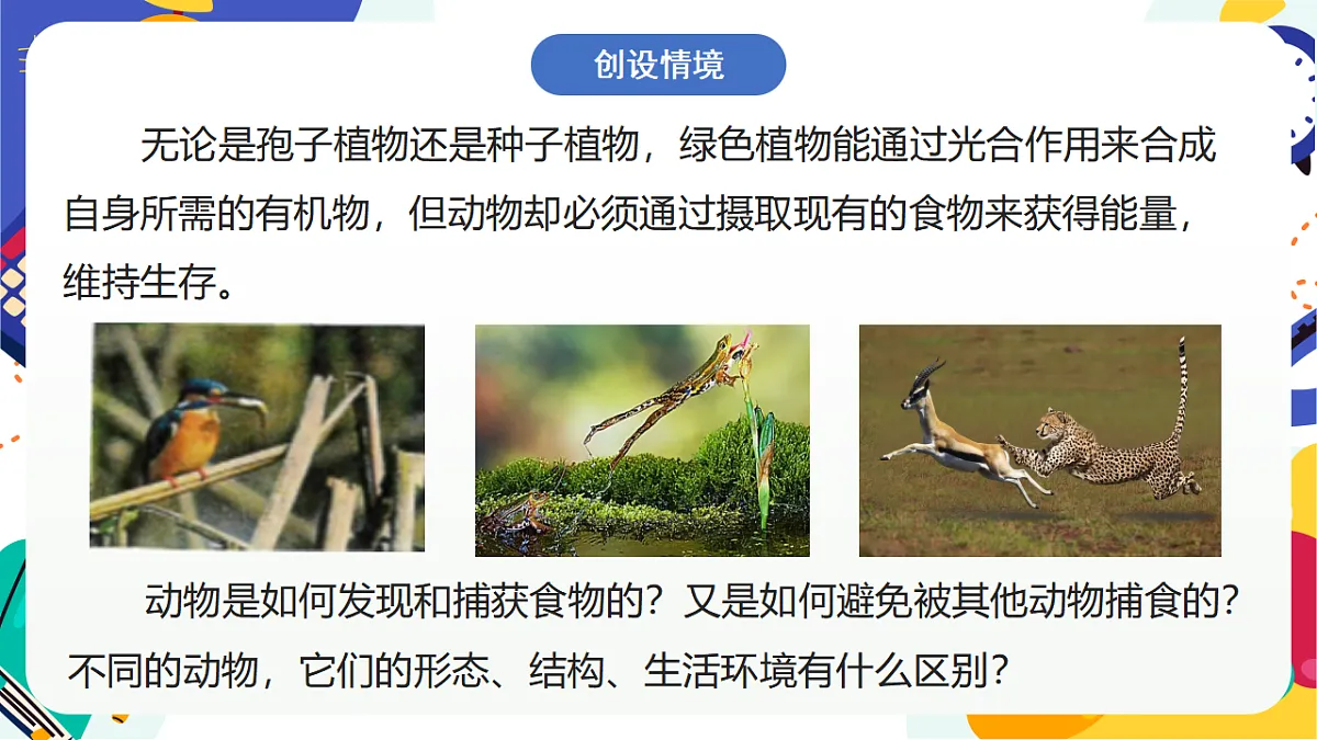 3.1《多姿多彩的动物》课件 浙教版科学七上第2页