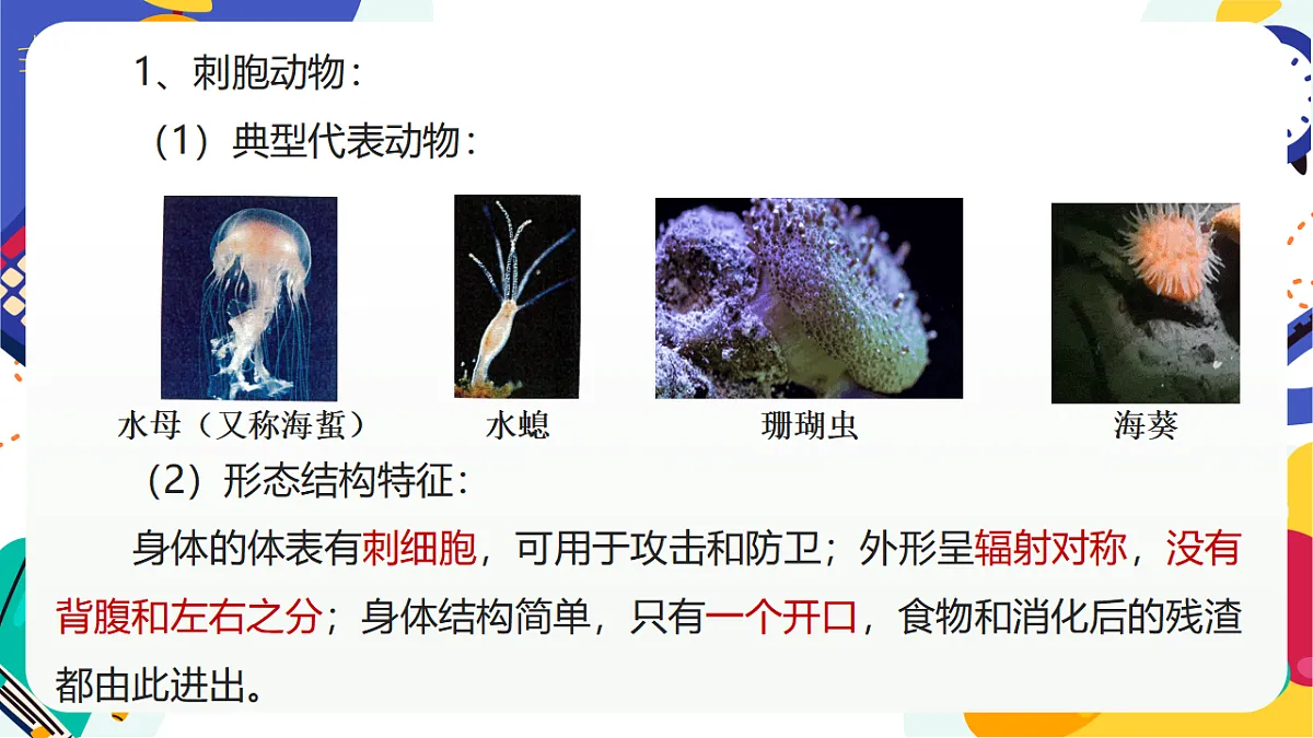 3.1《多姿多彩的动物》课件 浙教版科学七上第4页