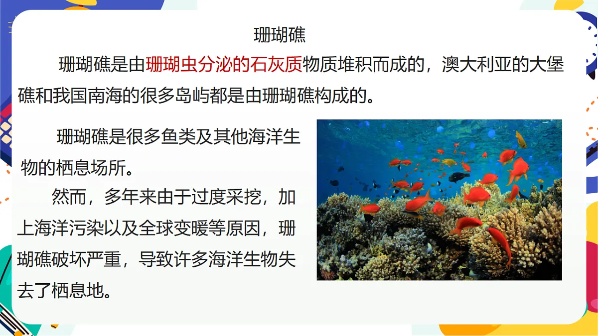 3.1《多姿多彩的动物》课件 浙教版科学七上第5页