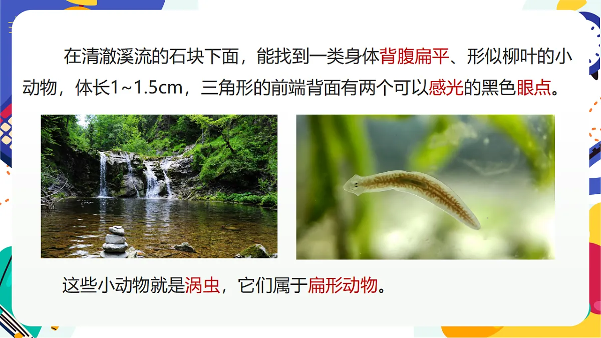 3.1《多姿多彩的动物》课件 浙教版科学七上第6页