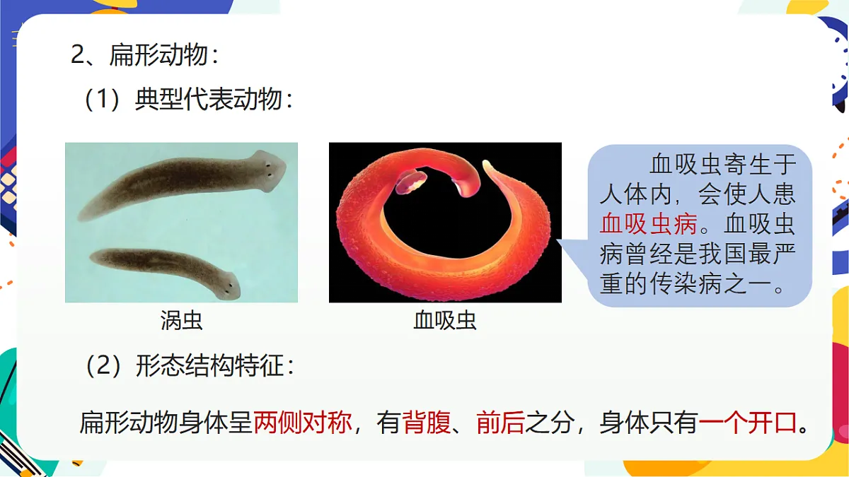 3.1《多姿多彩的动物》课件 浙教版科学七上第7页
