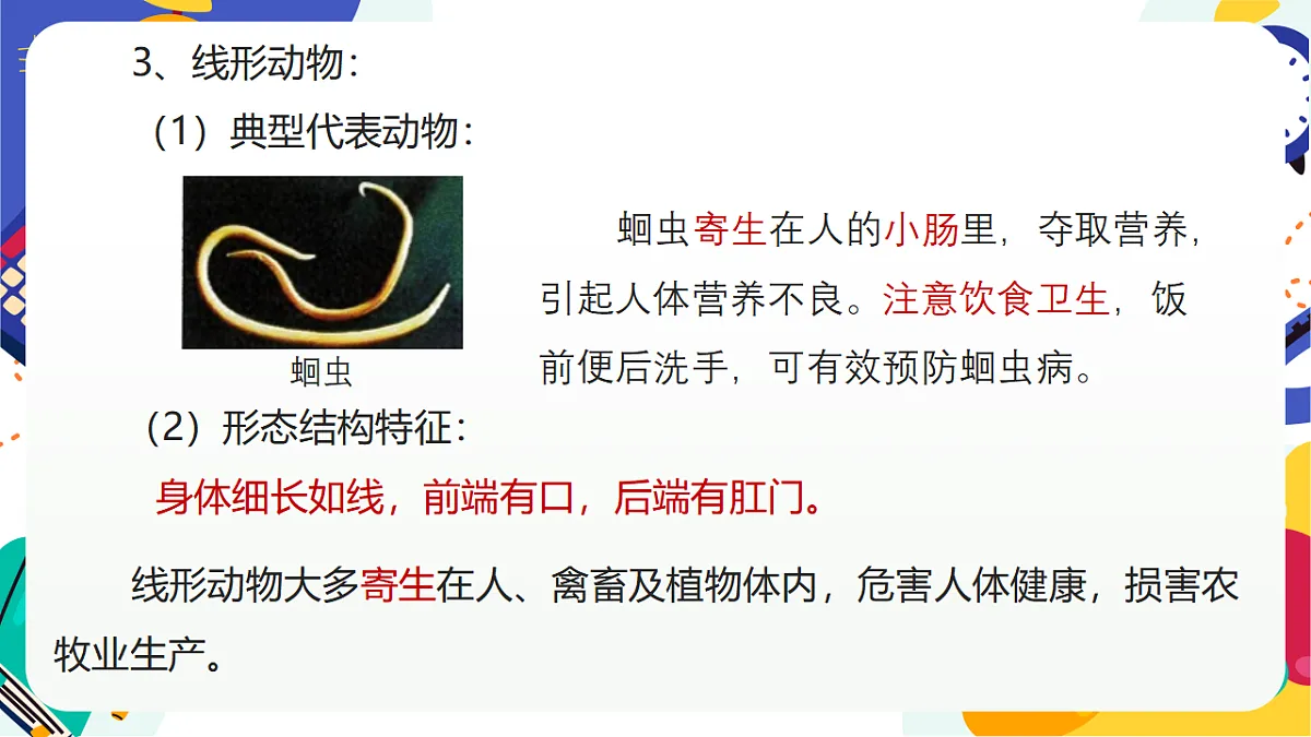 3.1《多姿多彩的动物》课件 浙教版科学七上第8页