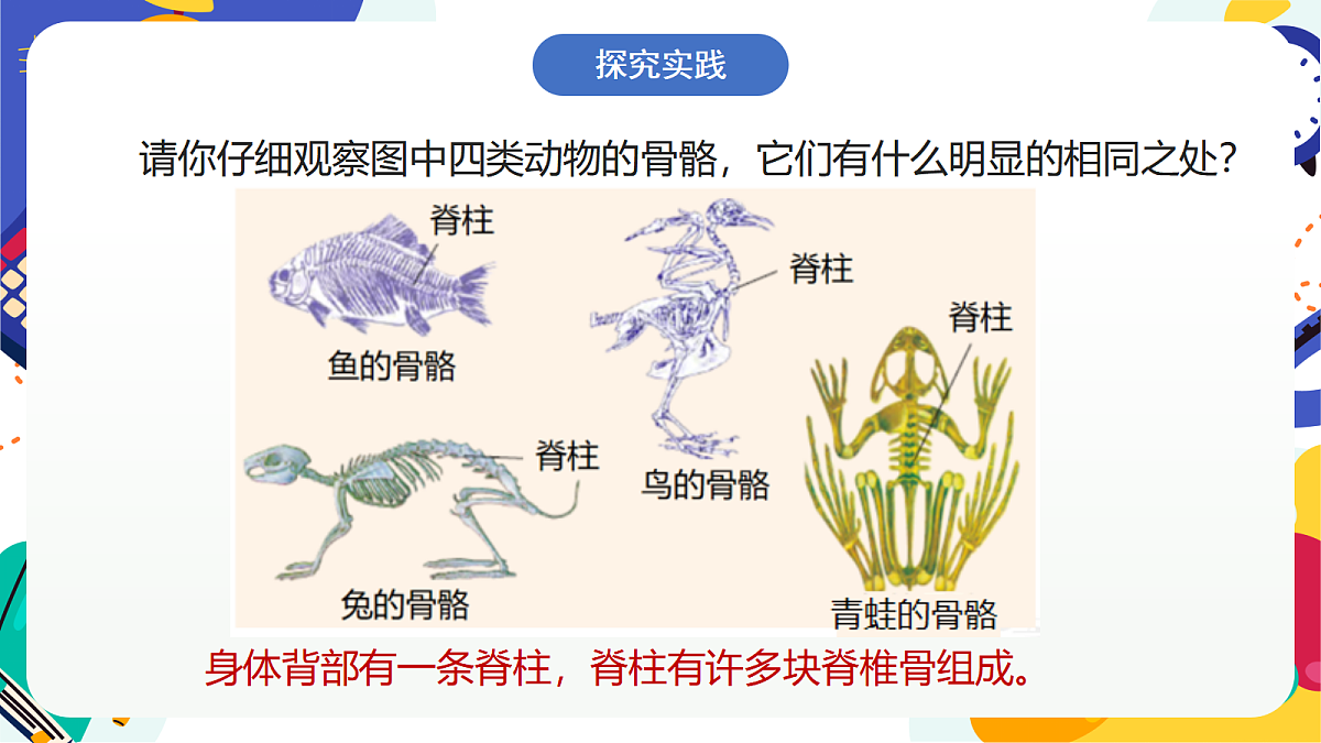 3.2《多姿多彩的动物》课件 浙教版科学七上第3页