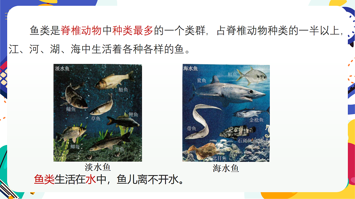 3.2《多姿多彩的动物》课件 浙教版科学七上第5页