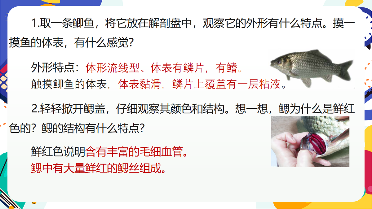 3.2《多姿多彩的动物》课件 浙教版科学七上第6页