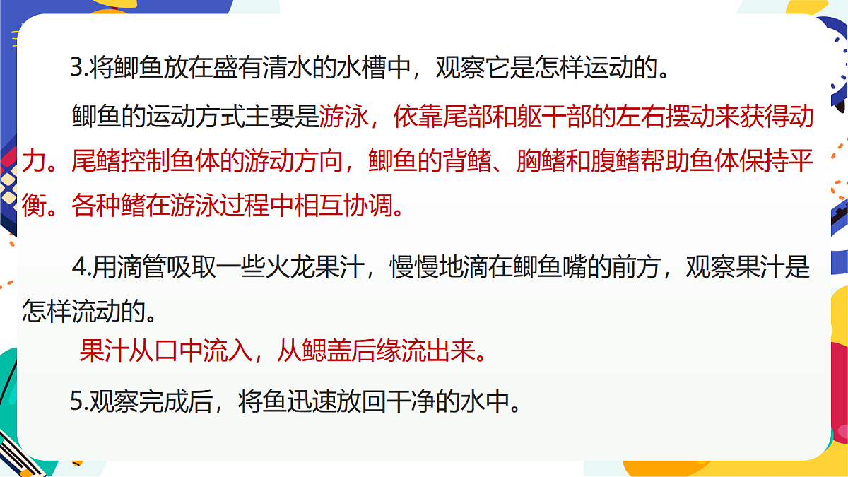 3.2《多姿多彩的动物》课件 浙教版科学七上第7页