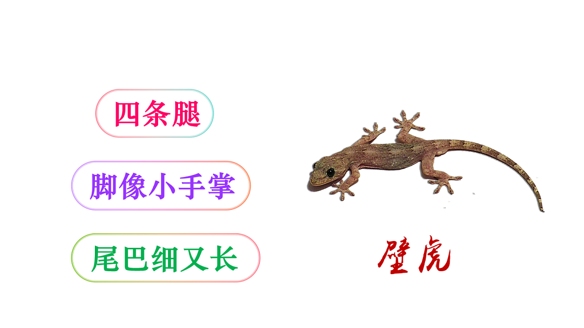 18429393第2页