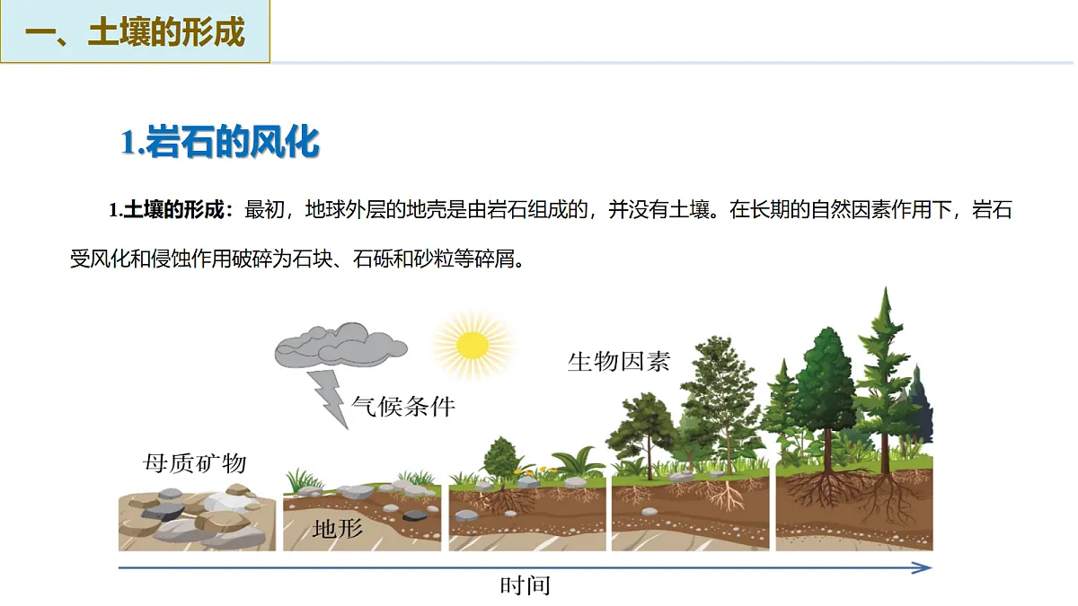 18430862第8页