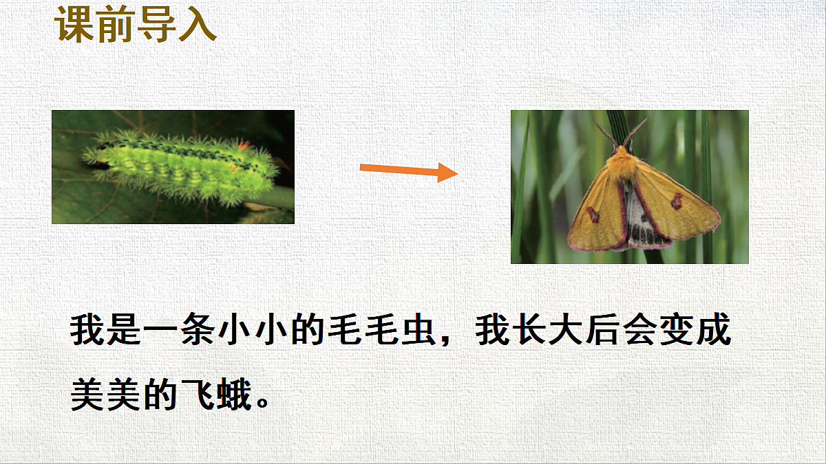 18431862第2页