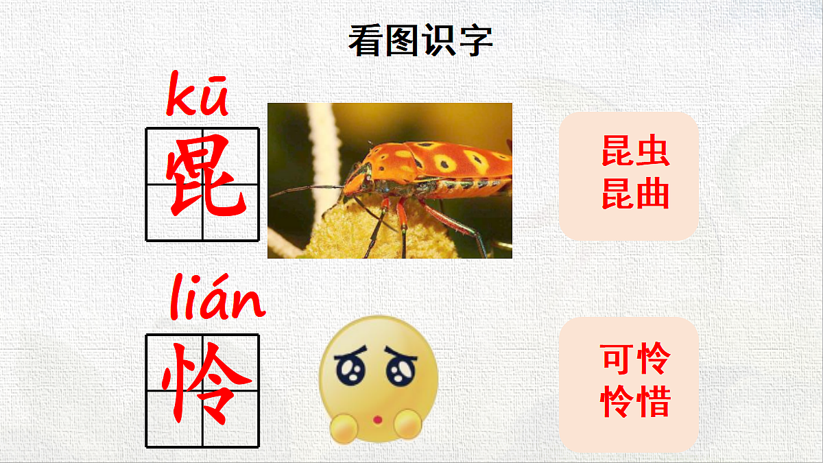 18431862第5页