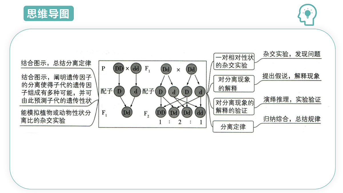 18431944第3页
