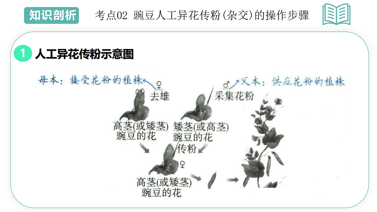 18431944第7页