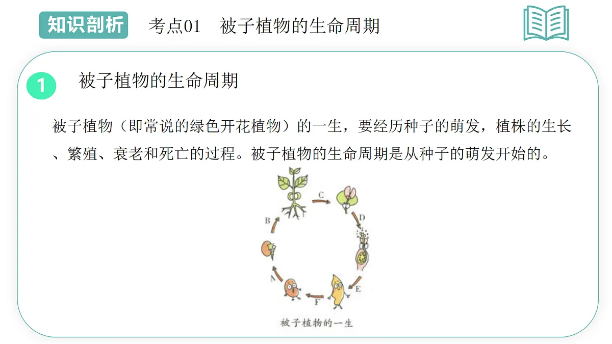 18431982第7页