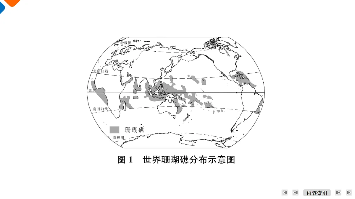 18433178第7页