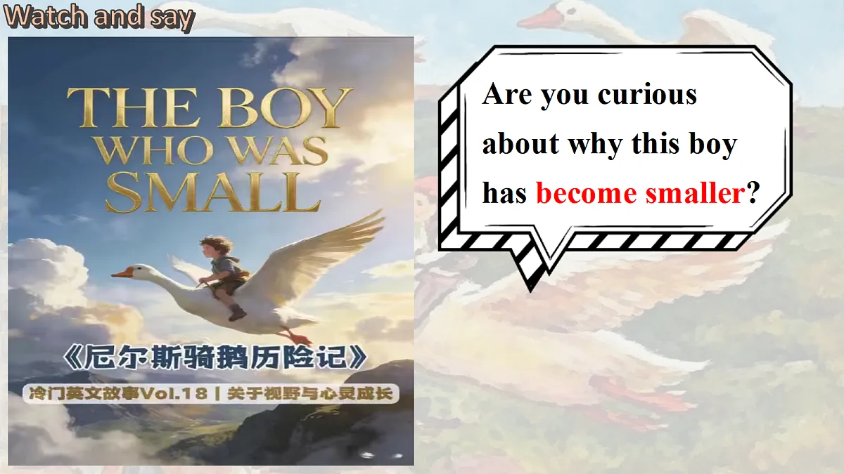 18433805第7页