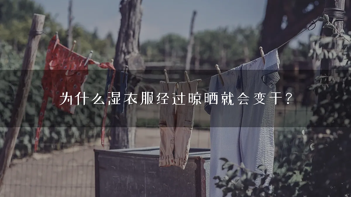 18434704第4页