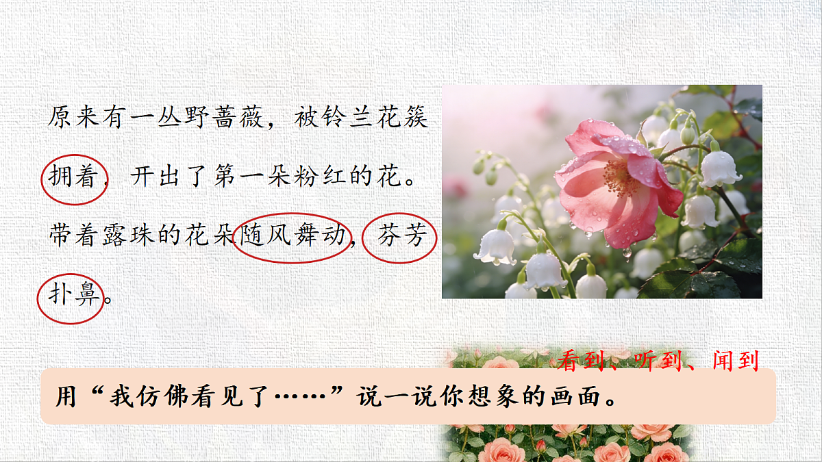 18435926第8页