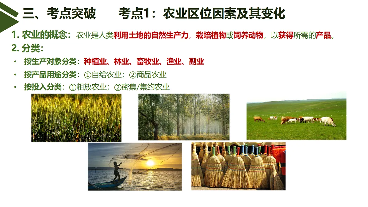 18437881第6页