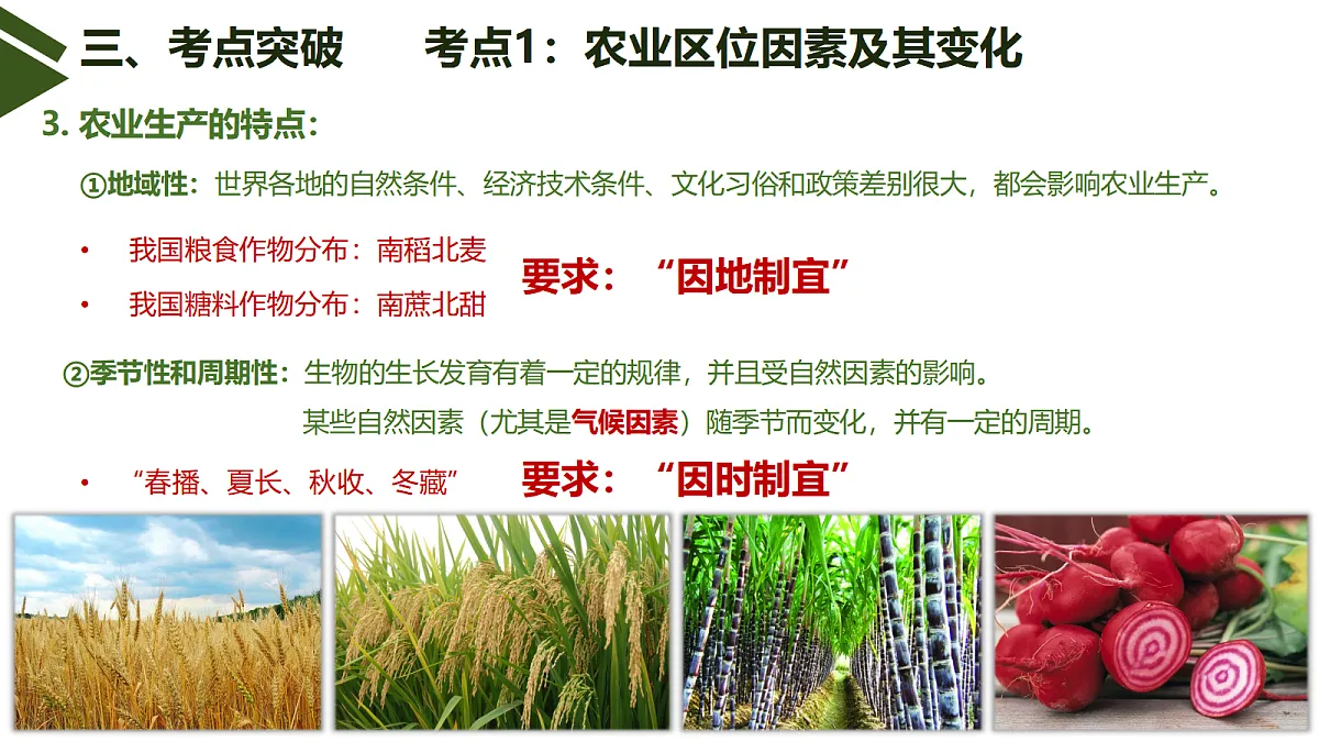 18437881第7页