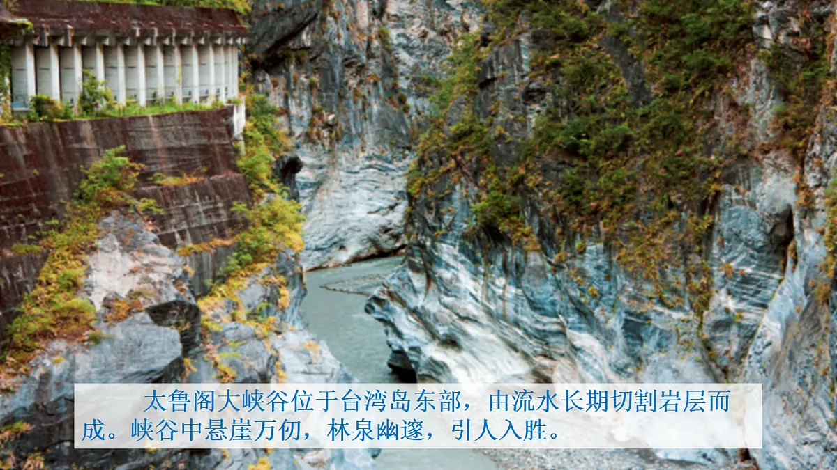 8.4《祖国的神圣领土 —— 台湾省》第2课时“美丽富饶的宝岛 ”教学课件第6页