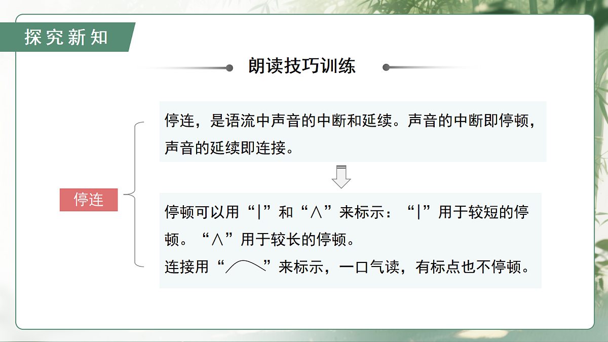 18438605第8页