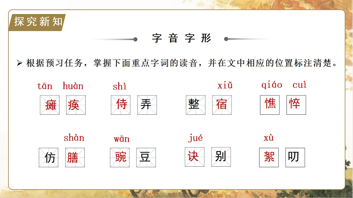 18438667第8页