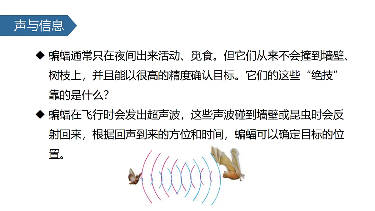 18439471第5页