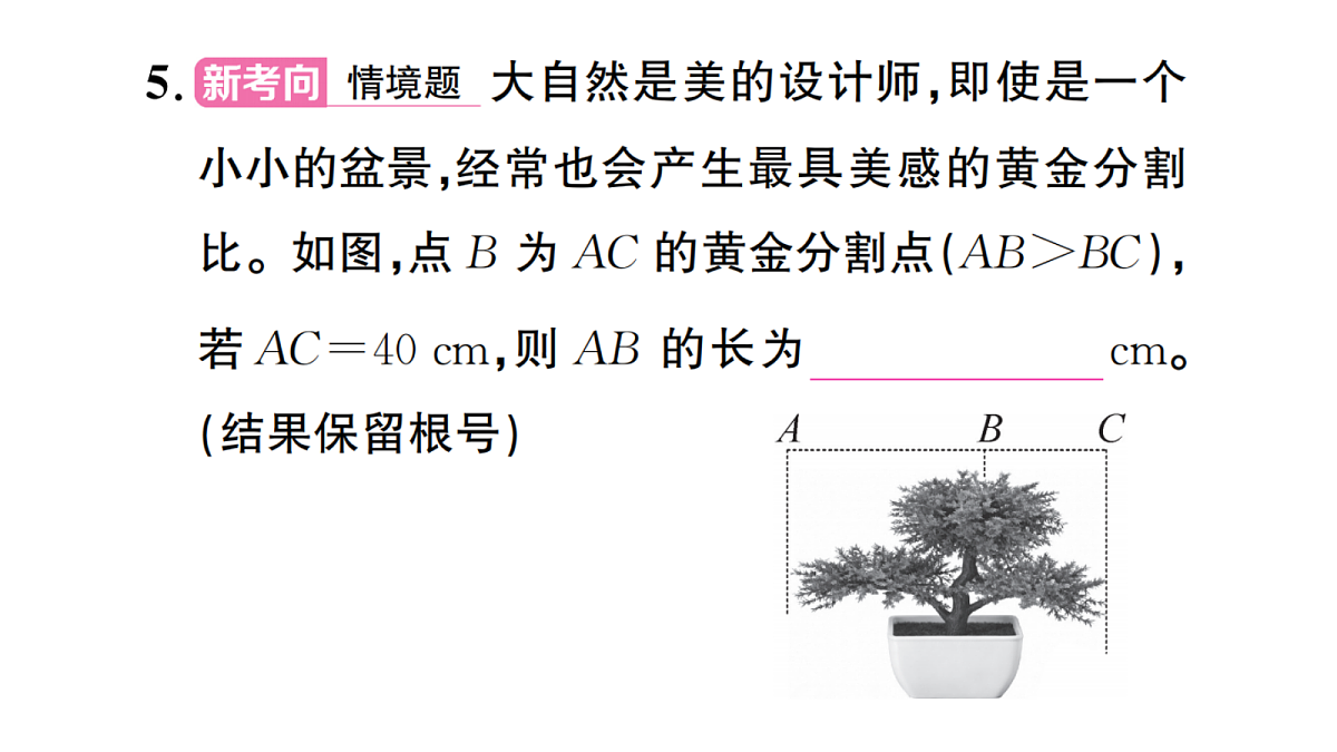 18439758第5页