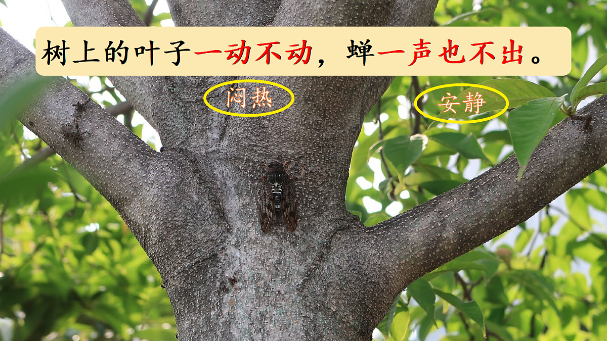 18440349第7页