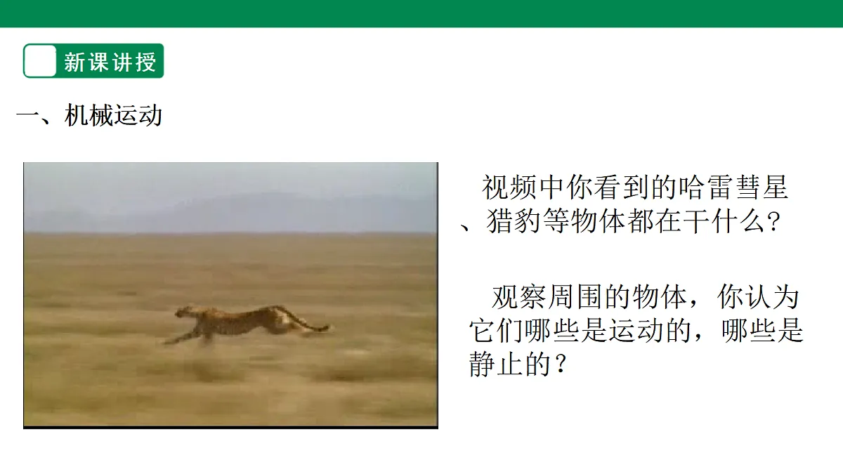 18441264第3页