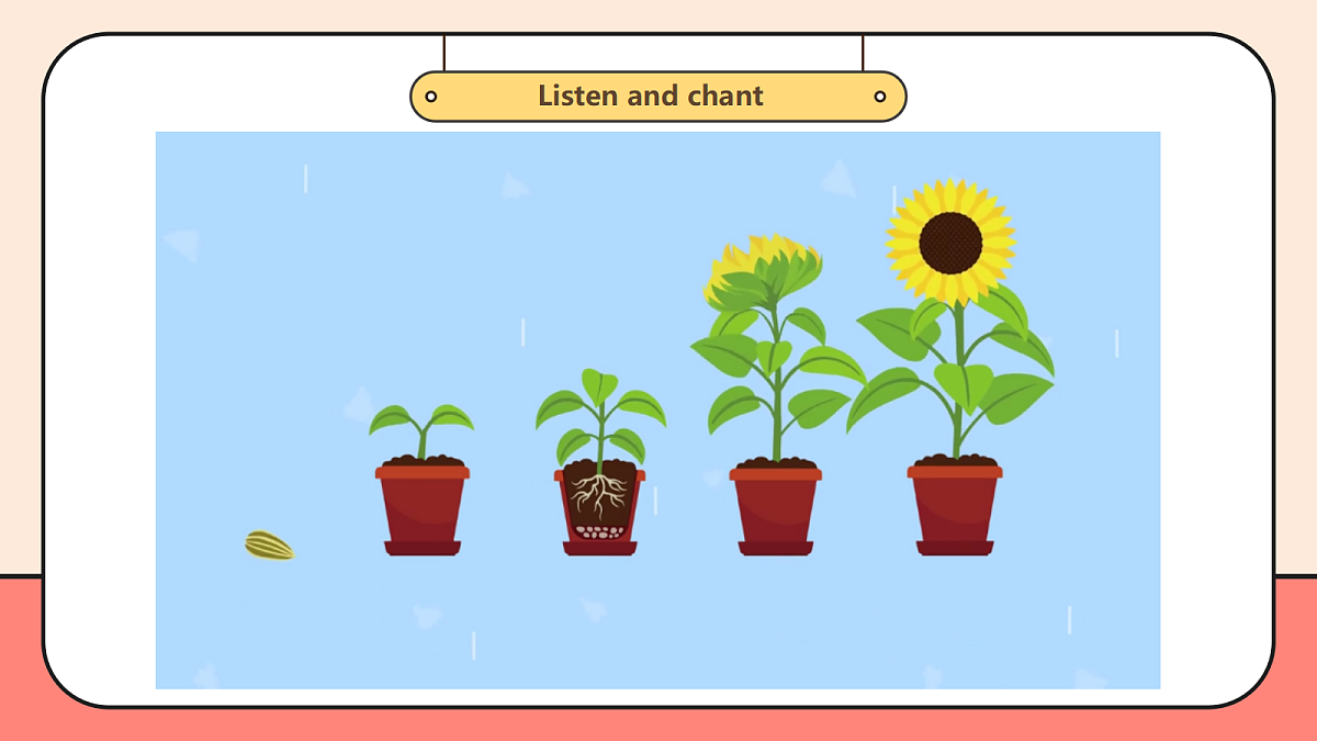 外研四下Unit 4 Plant life 复习课件第3页