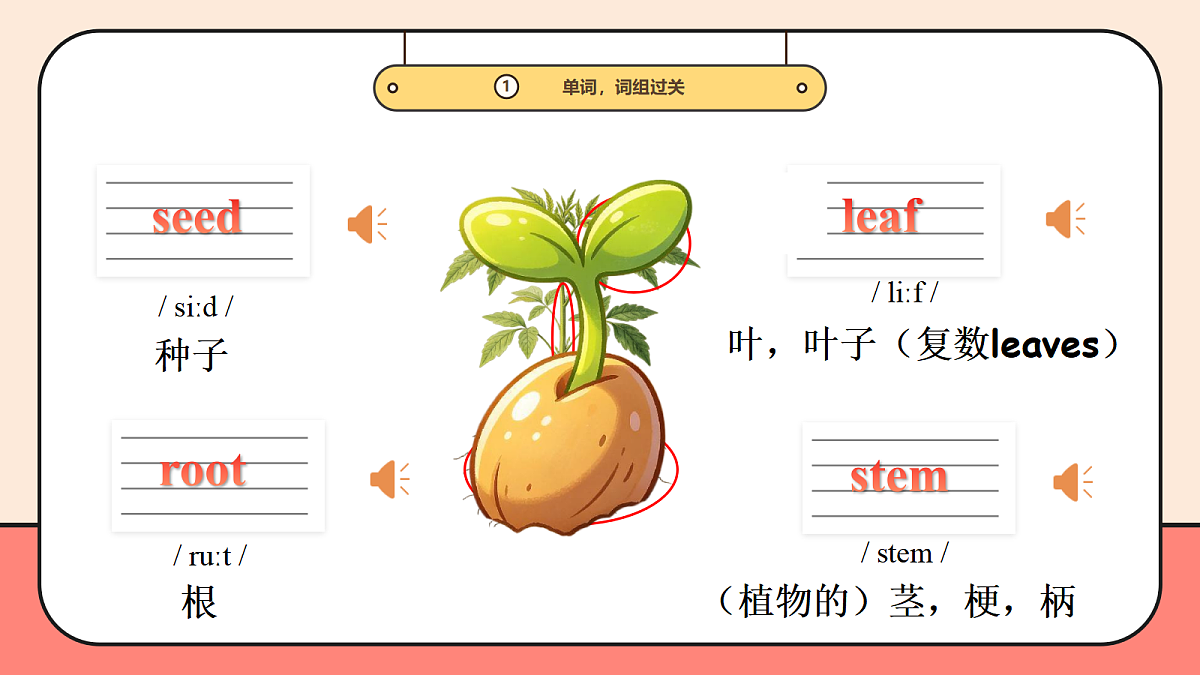 外研四下Unit 4 Plant life 复习课件第4页