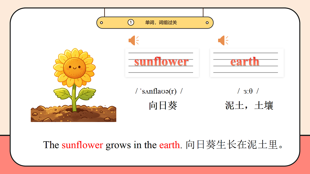 外研四下Unit 4 Plant life 复习课件第5页
