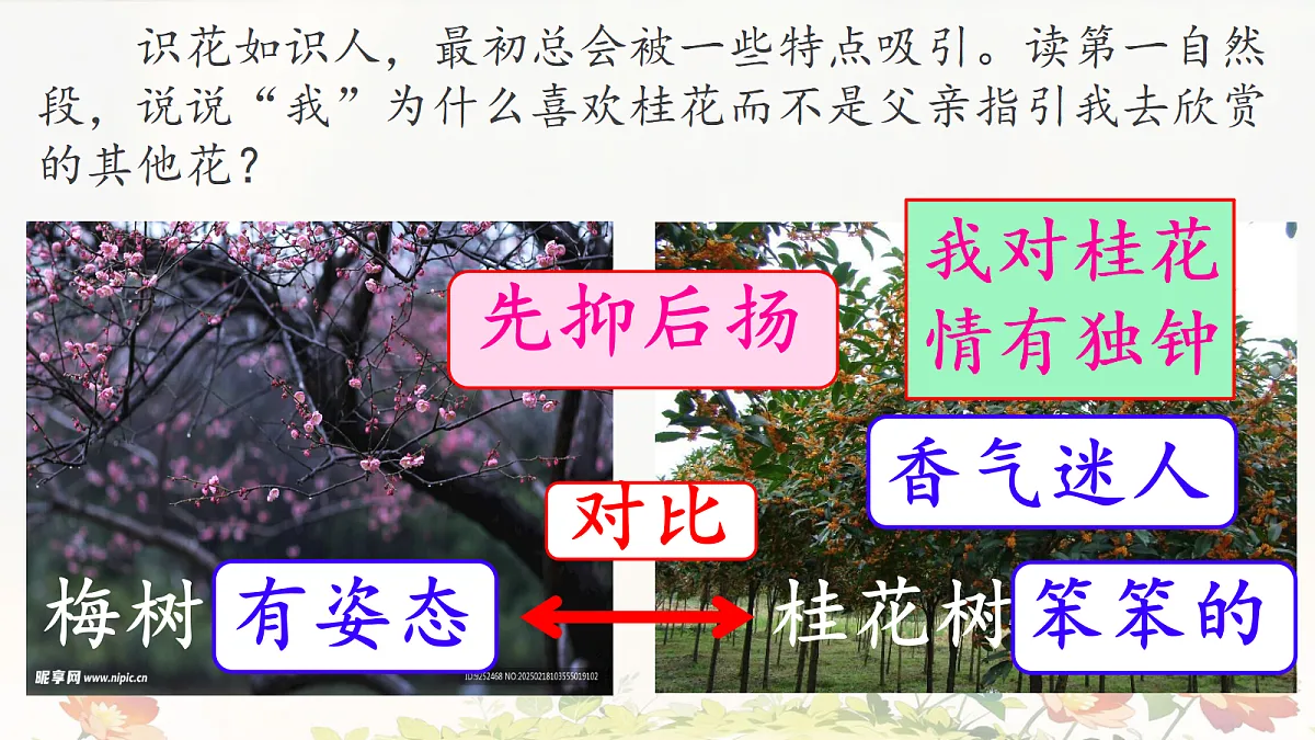 18442077第8页