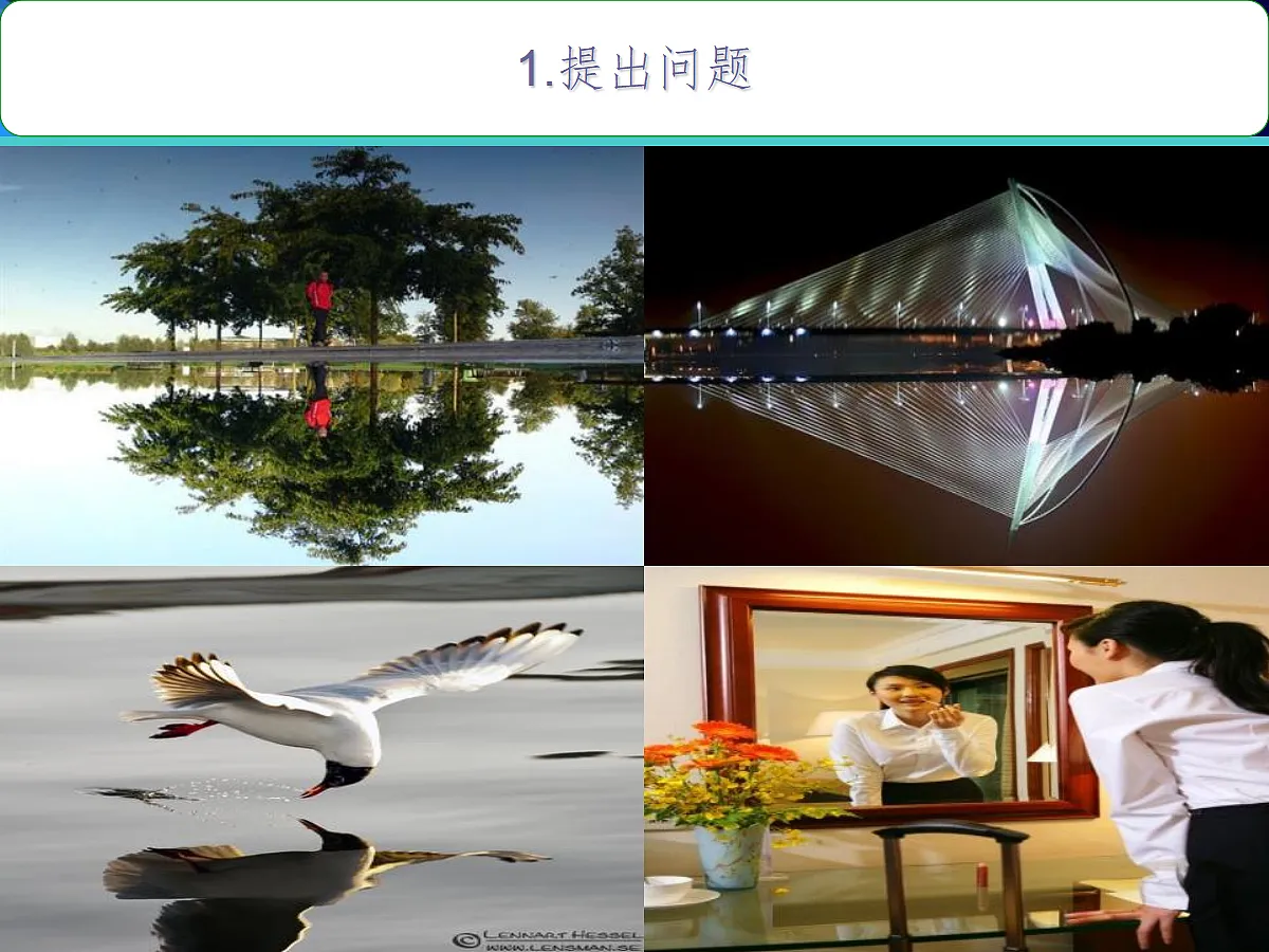 18442538第3页