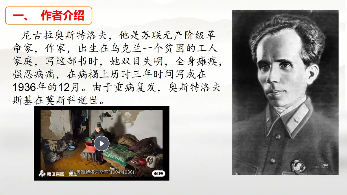 18445336第4页
