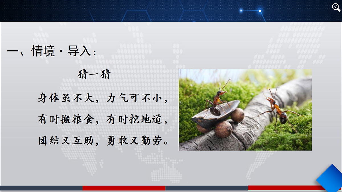 18445747第3页
