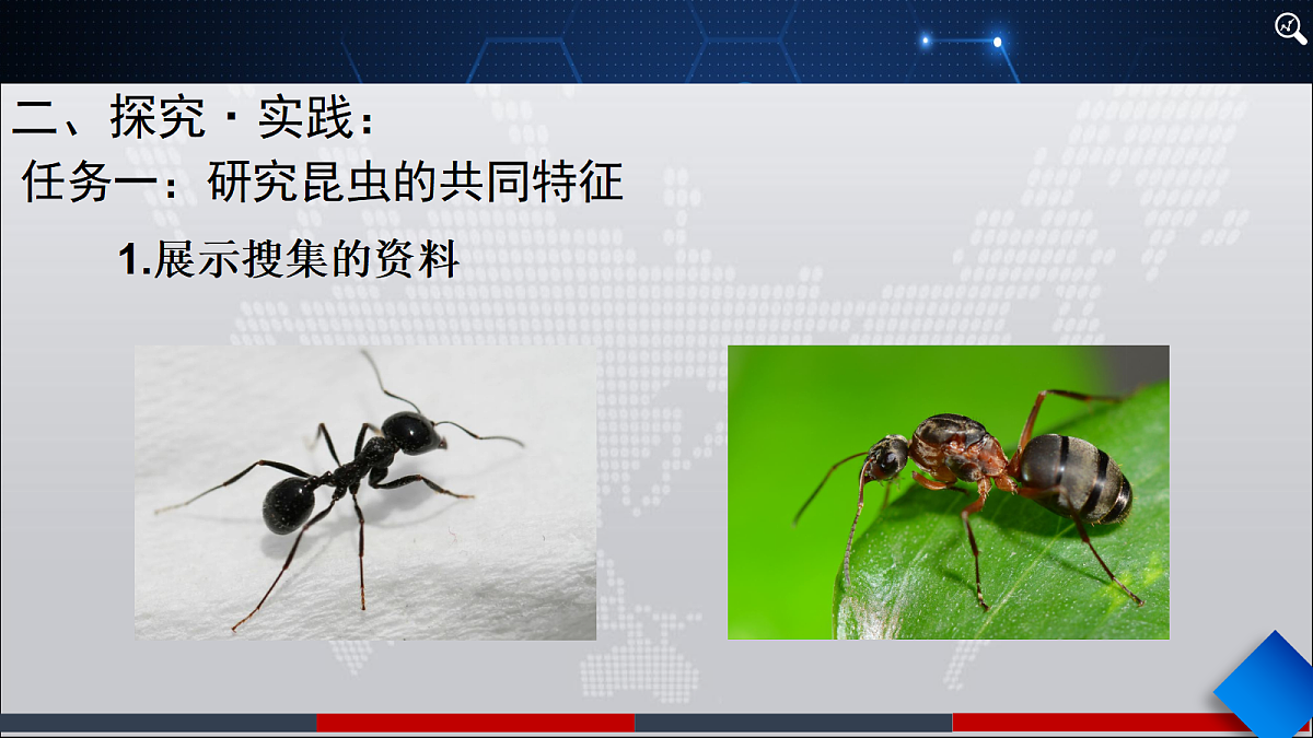 18445747第4页