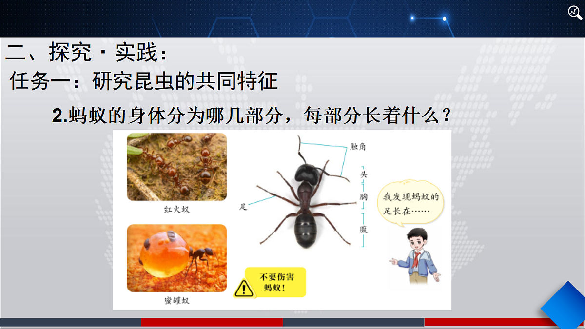 18445747第5页