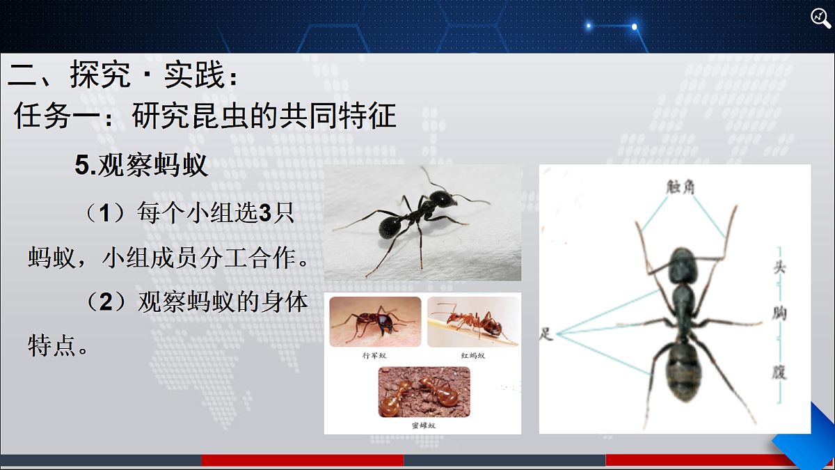 18445747第8页
