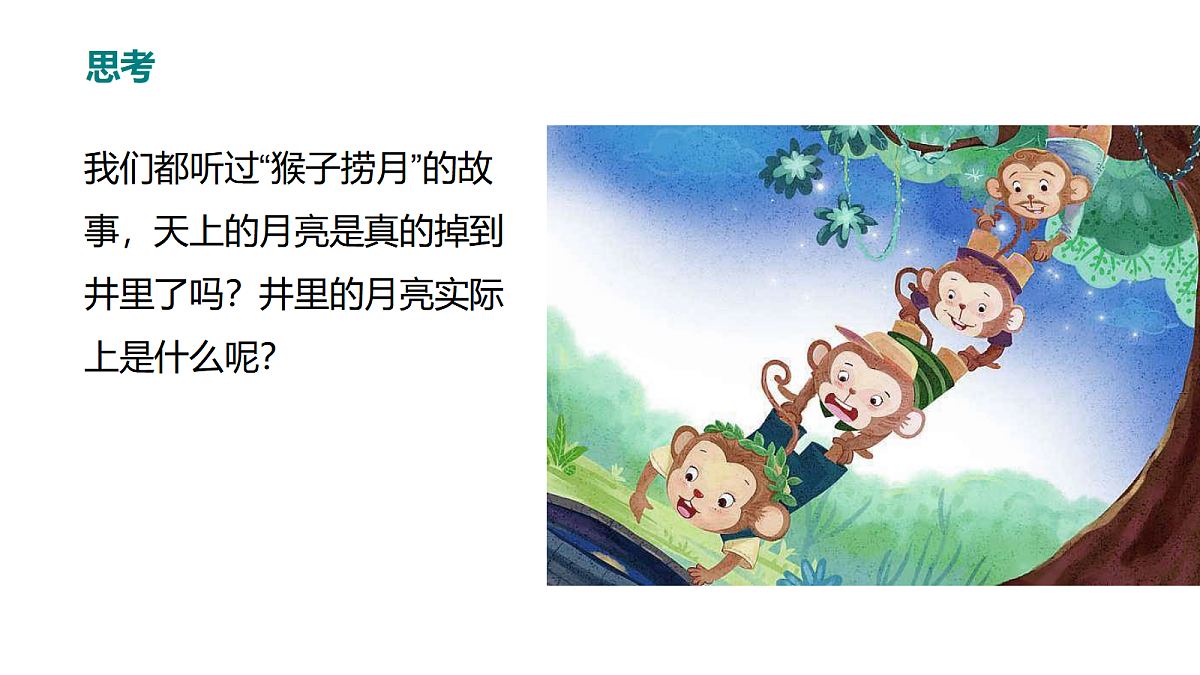 18447120第4页