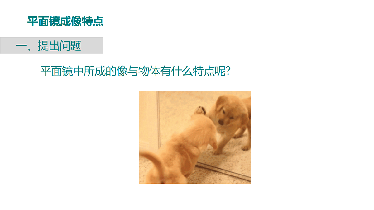 18447120第6页