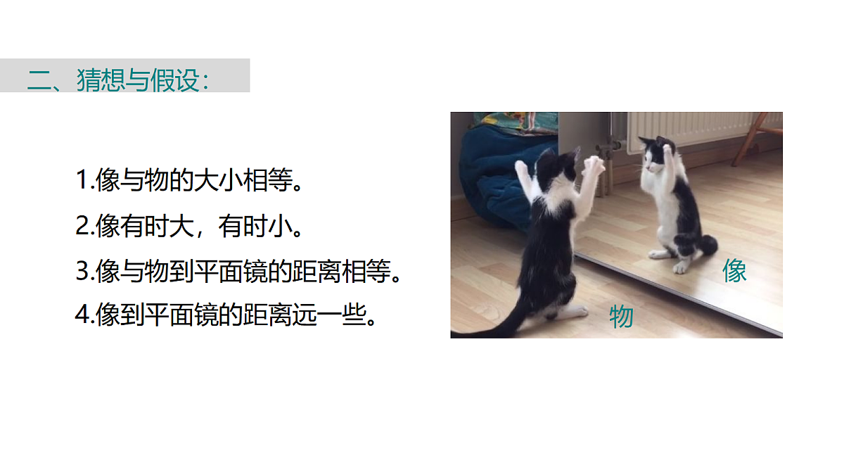 18447120第7页