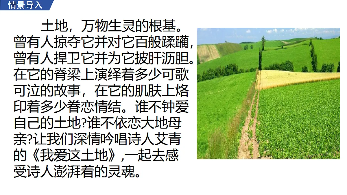3 《我爱这土地》 教学课件第3页