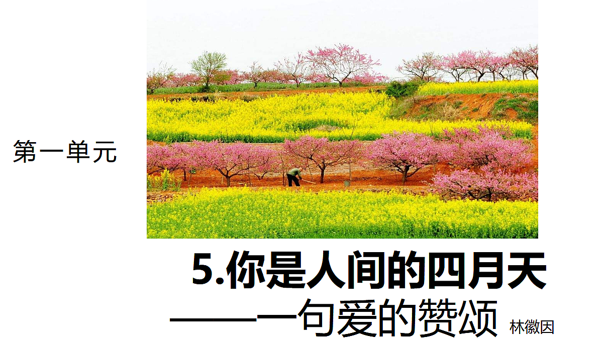 5 《你是人间的四月天——一句爱的赞颂》 教学课件第1页