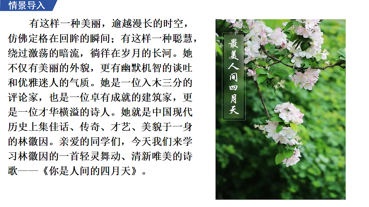 5 《你是人间的四月天——一句爱的赞颂》 教学课件第3页