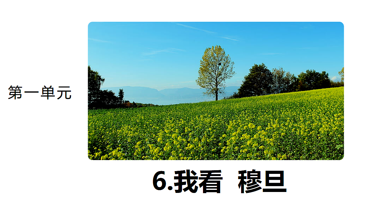6 《我看》 教学课件第1页