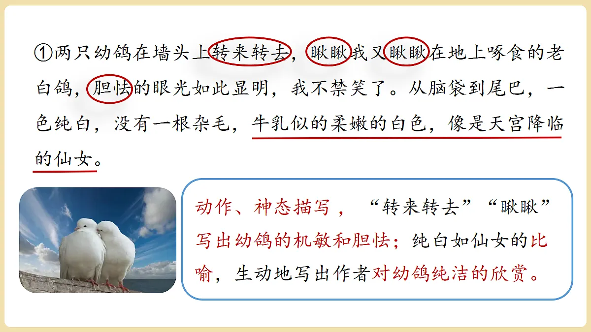 18447365第5页